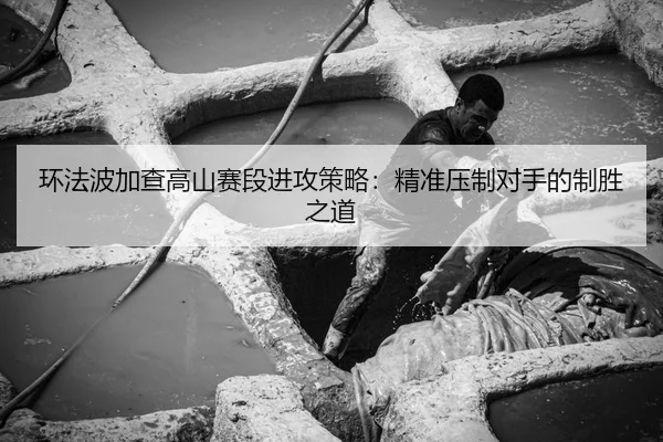 huan-fa-bo-jia-cha-gao-shan-sai-duan-jin-gong-ce-lve-jing-zhun-ya-zhi-dui-shou-de-zhi-sheng-zhi-dao-2-759.jpg