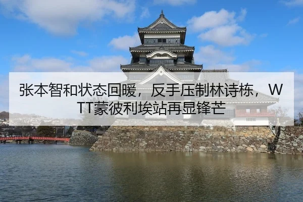 张本智和状态回暖，反手压制林诗栋，WTT蒙彼利埃站再显锋芒