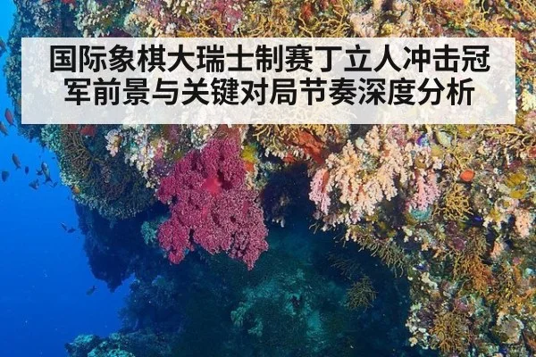 国际象棋大瑞士制赛丁立人冲击冠军前景与关键对局节奏深度分析